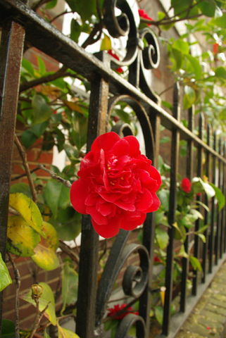 Наталья Мишина