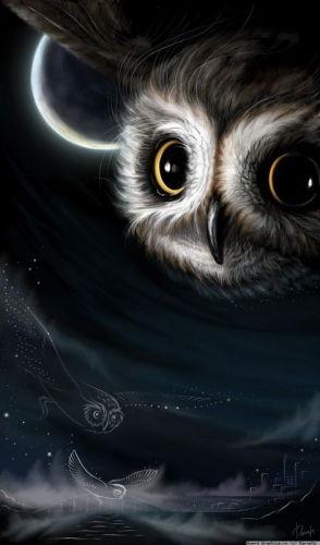 Даша Сергеева