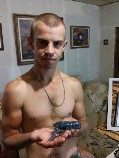 Владимир Елагин