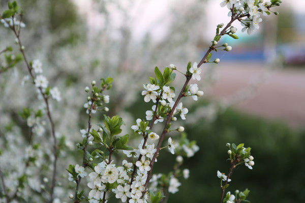 Ильгиз Исламов