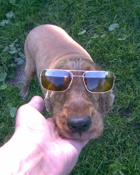 Александр Балаев