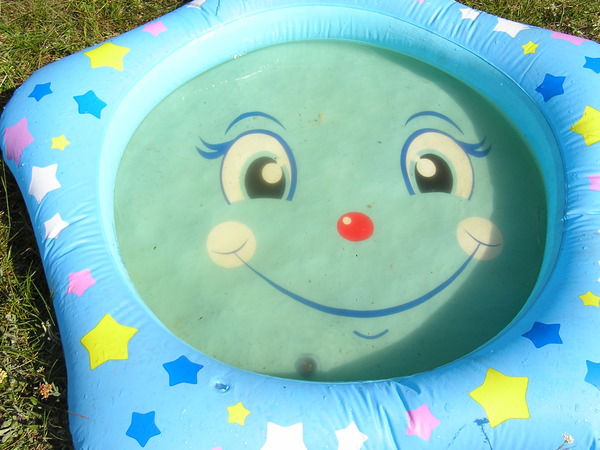 Лариса Гмыль