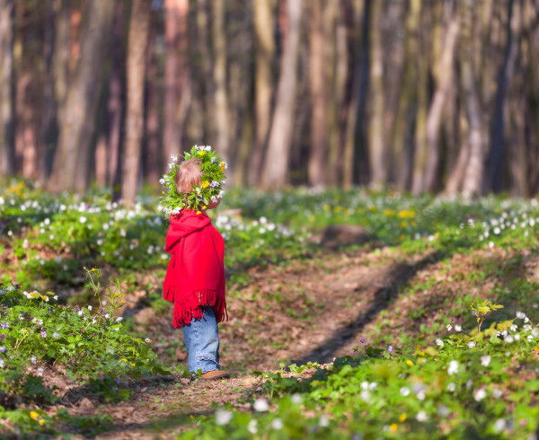 Дгкб-2 Дгкб-2