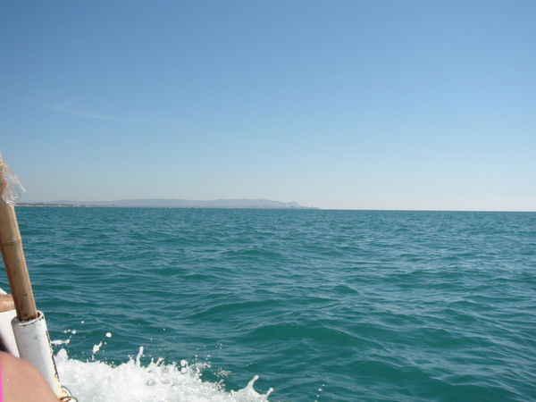 Наталья Савченко