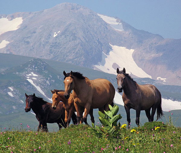 Арина Кричанюк