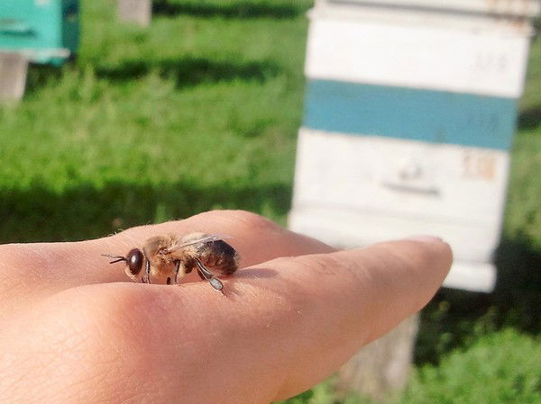 Вячеслав Федоров