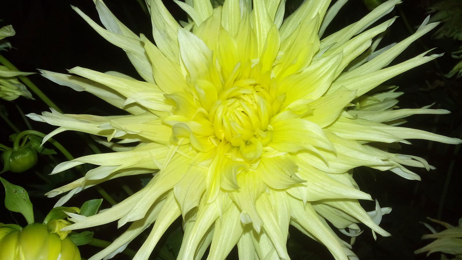 Марина Михайлова