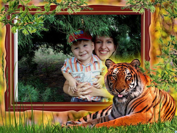 Семенец Юлия