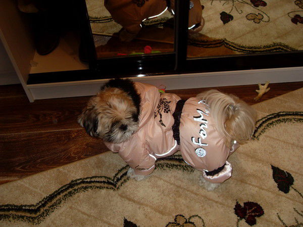 Сергей Гуминский