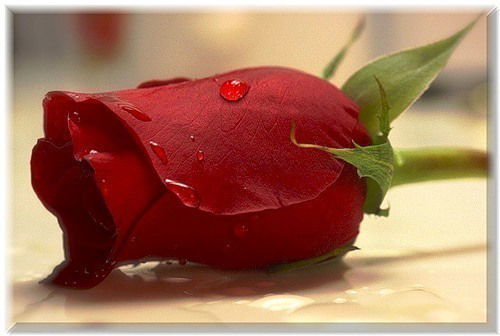 Акмарал Ортаева