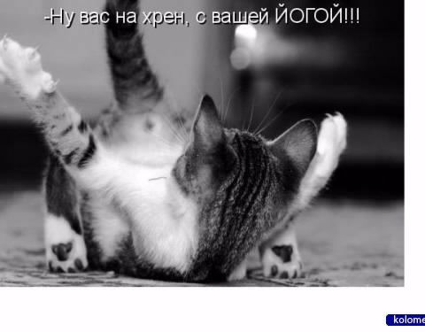 Ваня Зиновьев