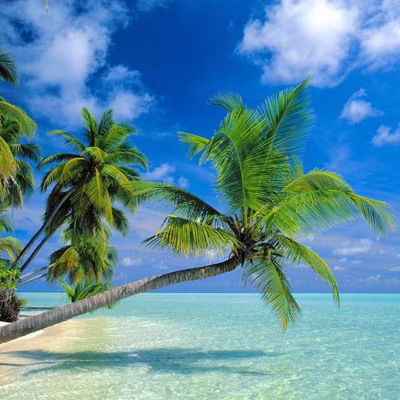 Семен Трубачов