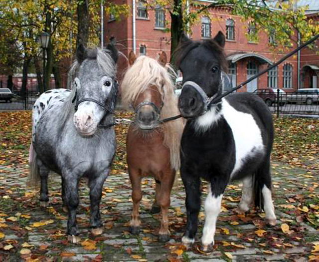 Наталья Владимировна