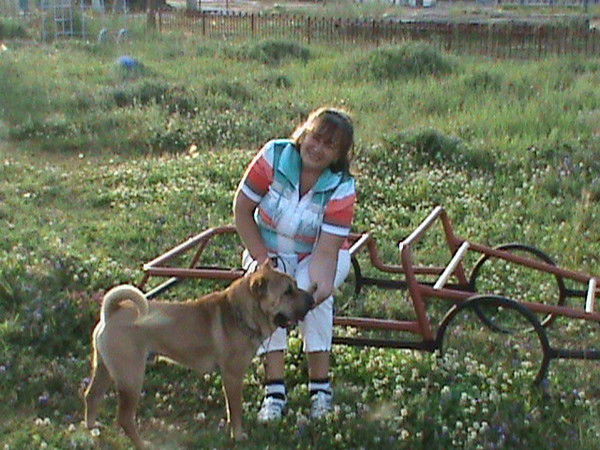 Нетушка Вотушка