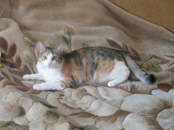 Александр Родькин