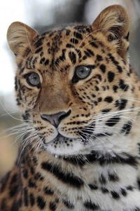 Наталья Белова