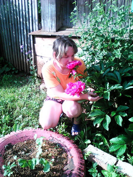 Елена Плотникова