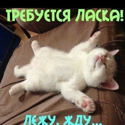 Андрей Ястреб