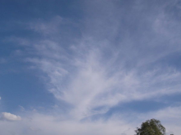 Елена Абашкина