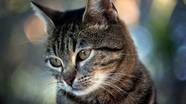 Маша Галактионова