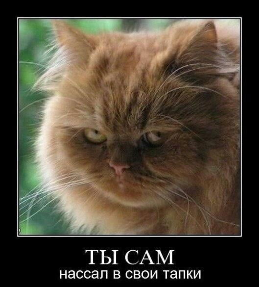 Евгений Быстров