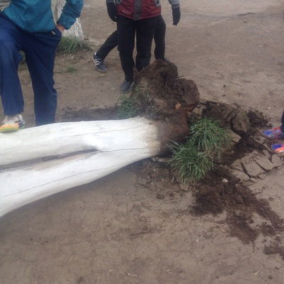 Касым Баймурзин