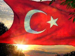 Расул Таиров