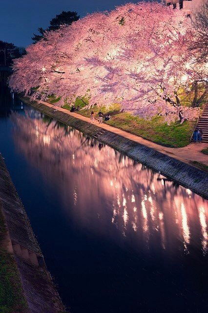 Эсмира Курбанова