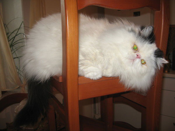 Галина Черепанова