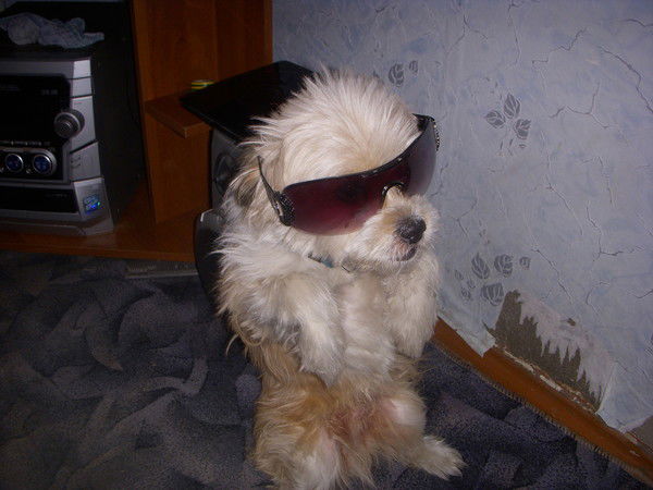 Николай Яковлев