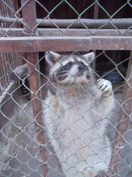 Юра Корепин