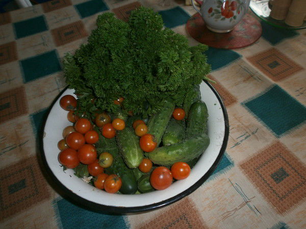 Елена Потехина