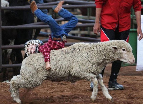 Шамиль Магомедов