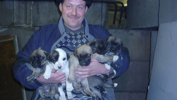 Алексей Бородин