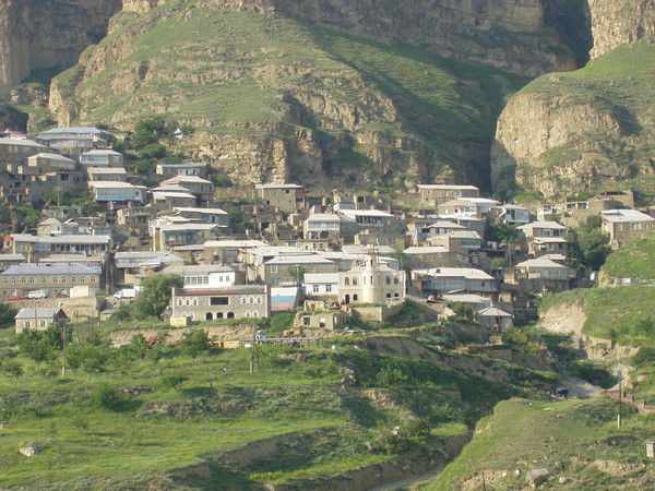 Шагун Газиева