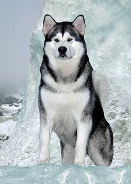 Серегей Тарусов