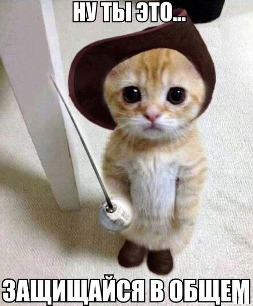 Александр Титов