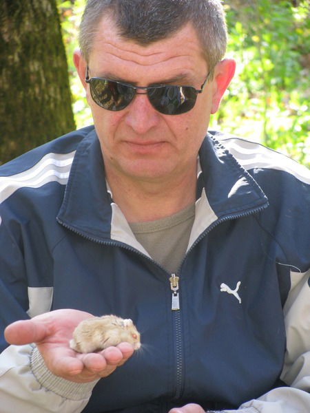 Александр Седин