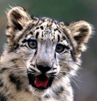 Настя Life_For_A_Life