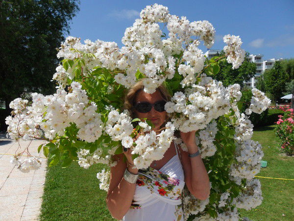 Светлана Крекшина