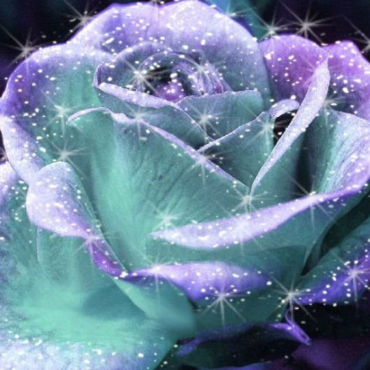 Шейрихан Маллаева