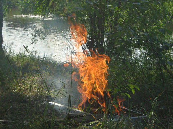 Елена Кузнецова