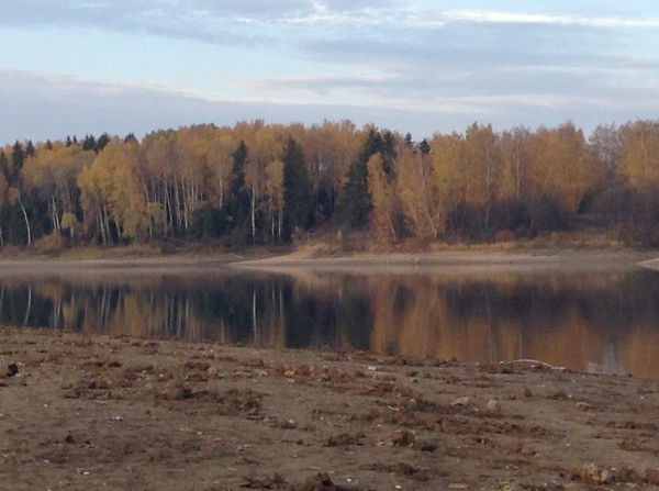 Ольга Логвиненко