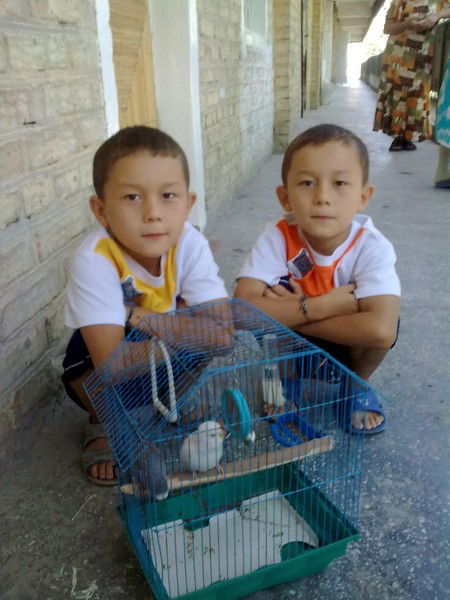 Амир Темур Айтназаровы