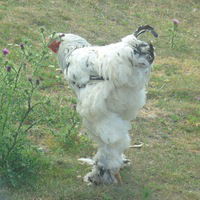 Егор Прытков