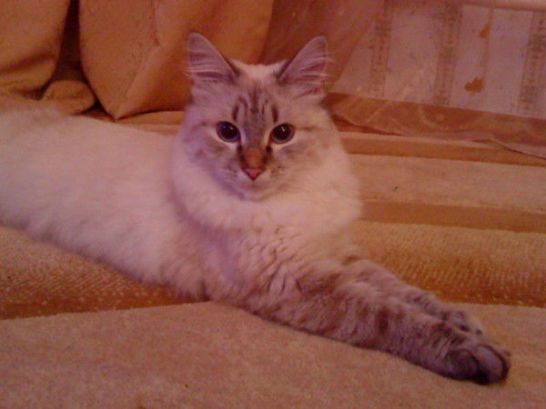 Ленуза Закирова