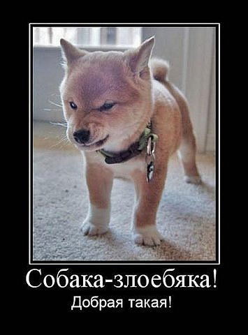 Alexander Podolnitsky