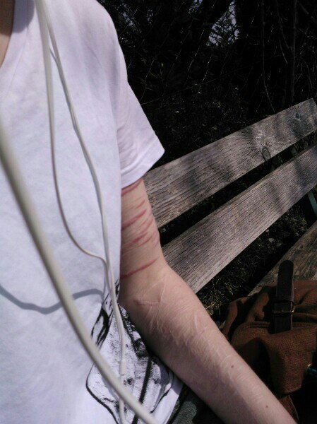 Лера Шевцова