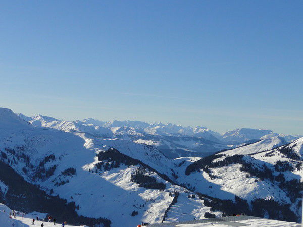 Светлана Смолина