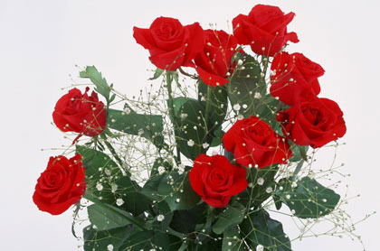 Аягоз Сулейменова